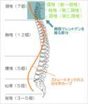 背骨